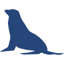 Icon of an Antarctica Seal