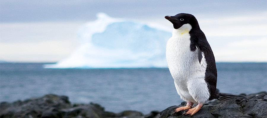 antarctica-photography-angle