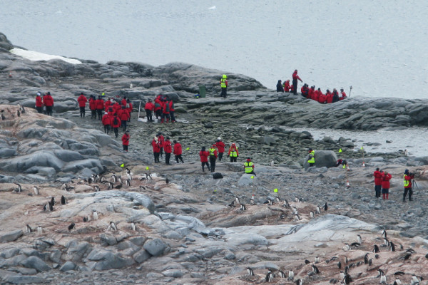 Tourism in Antarctica