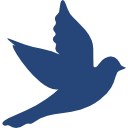 Seabird Icon