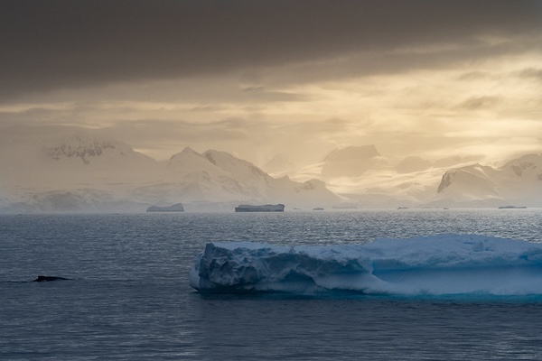 Antarctica on a budget guide 3.jpg