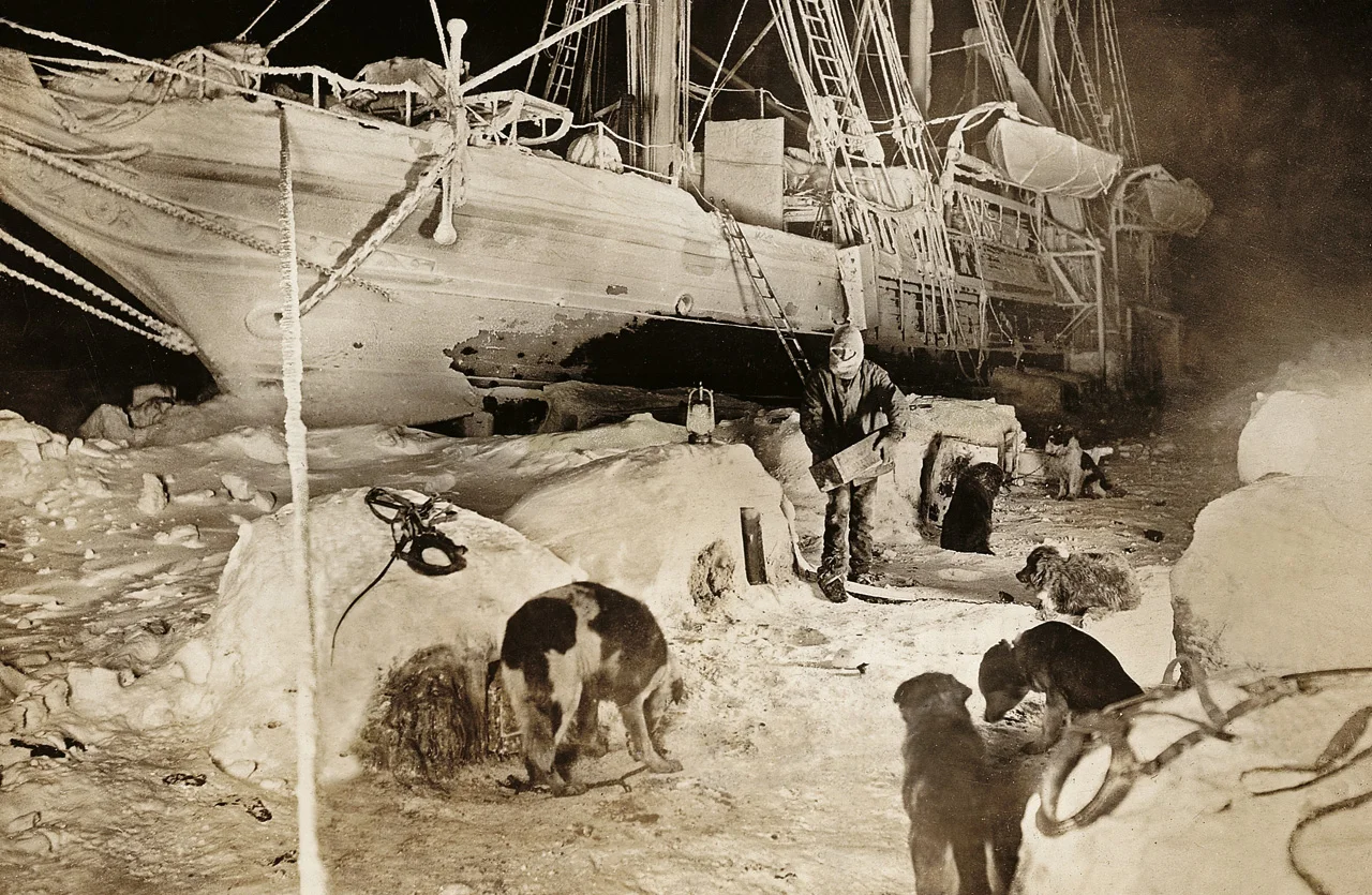 Best Antarctica cruise for shackleton lovers 1.webp