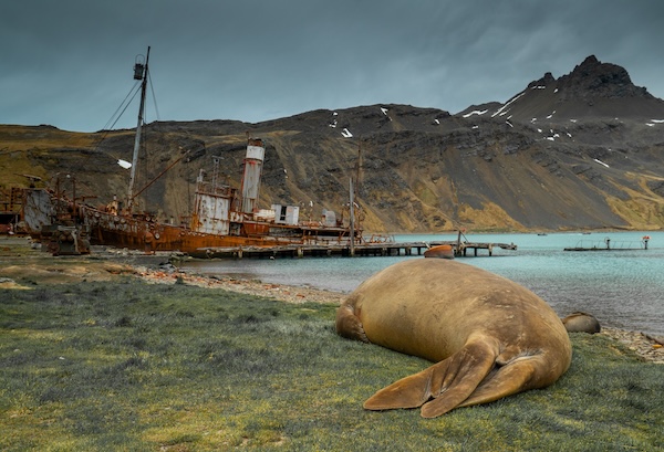 Best Antarctica cruise for shackleton lovers 4.jpg