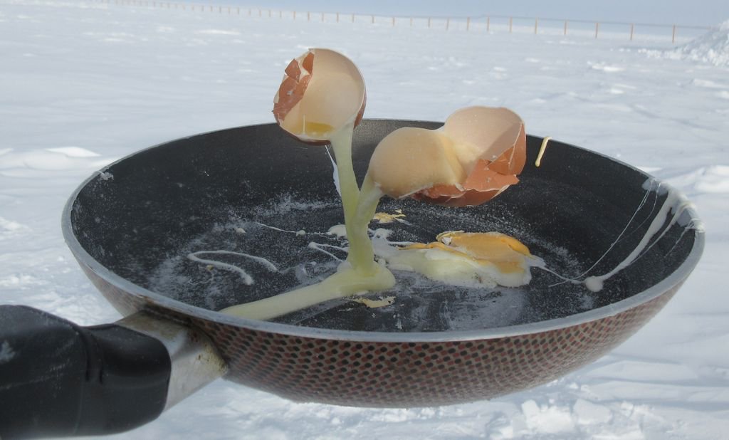 Eating Eggs in Antarctica