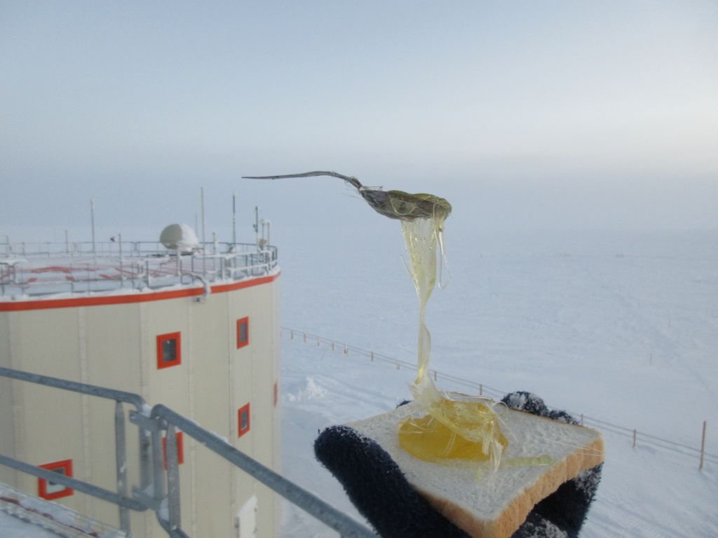 Honey in Antarctica