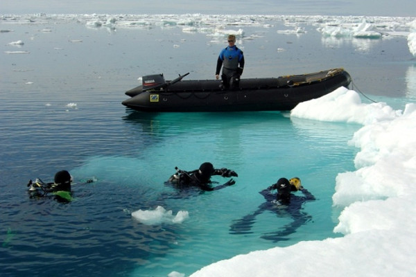 Scuba Diving in Antarctica