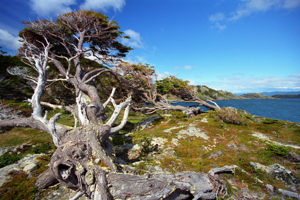 Tierra Del Fuego