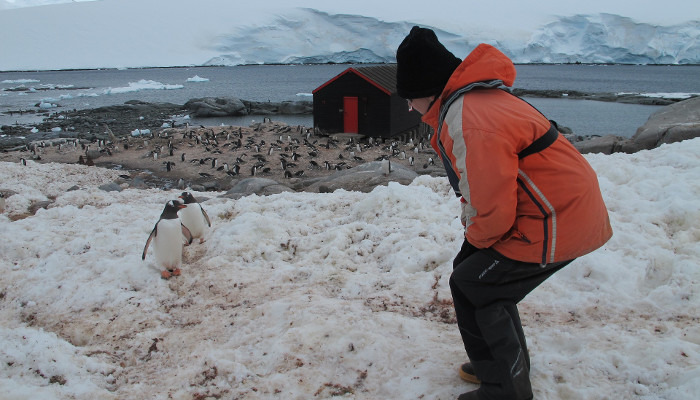 things-to-do-in-antarctica3