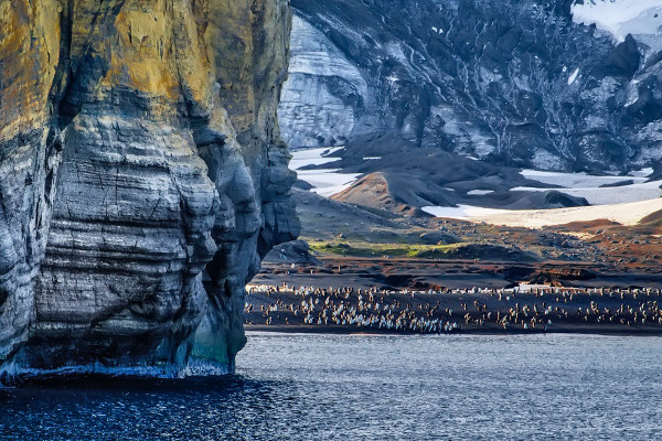 Antarctica Circle via Falklands and South Georgia Cruise Image