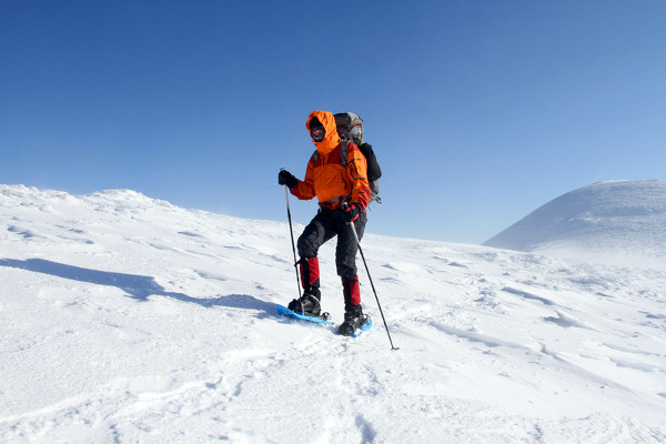 Snowshoeing in Antarctica: Exploring The Authentic Way