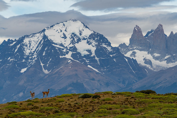 Top things to do before your Antarctic cruise