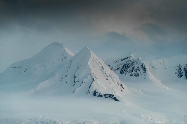 What will you see on an Antarctic cruise?